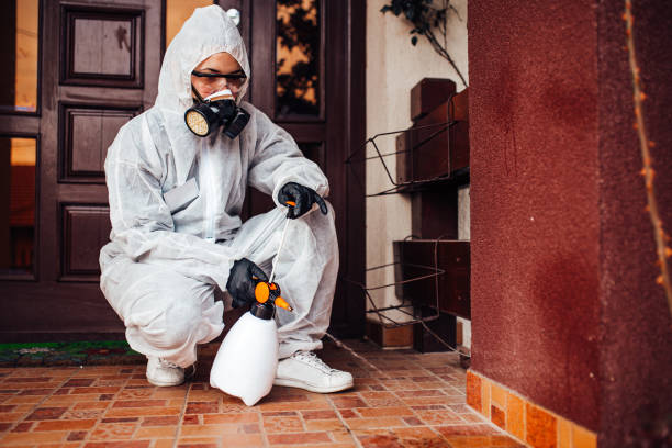 Reliable Bed Bug Control contractor in Clifton Gardens, NY by Nex Pest Control