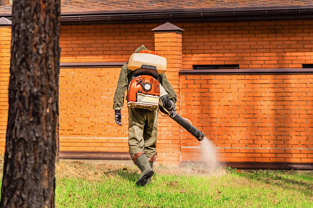 Trusted Fumigation Services service in Clifton Gardens, NY - Nex Pest Control